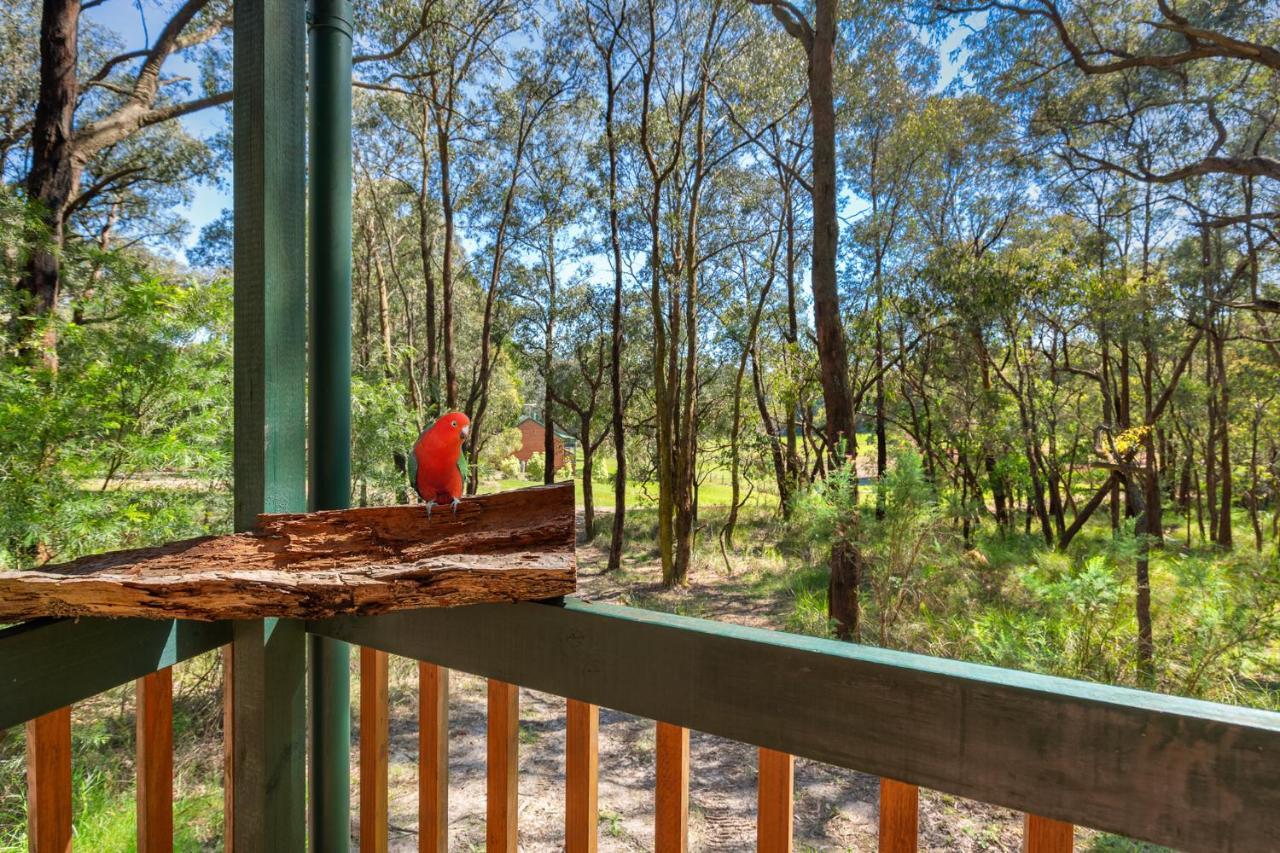Cockatoo Cottages ภายนอก รูปภาพ